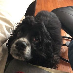 Meet your Posher, Jonatthan